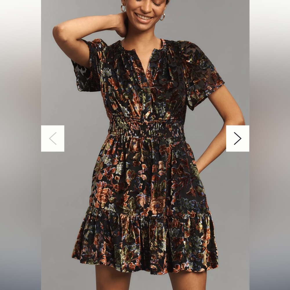 Antropologie Somerset velvet floral cinched waist mini dress Sz S pockets